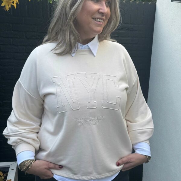 Glanzende sweater beige Mooij